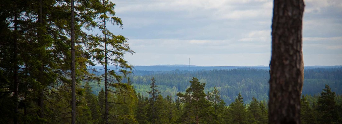 Åsenhöga 5