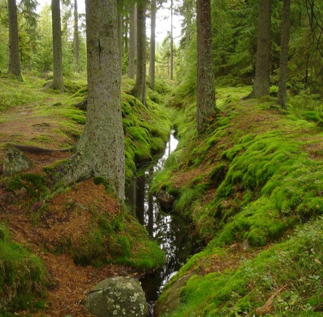 Svikarens Kanal Kvadrat