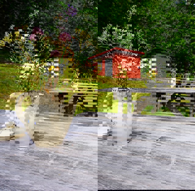 DSC02833