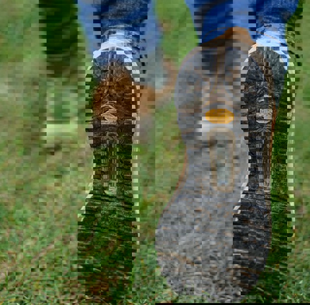 Vandring Känga Sko Unsplash