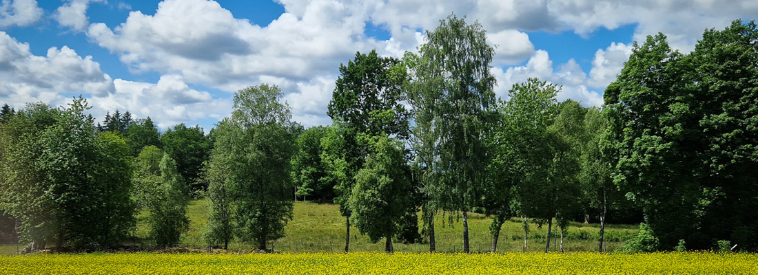 Så Gör Vi Gnosjö Mer Känt – För Både Boende Och Besökare 5