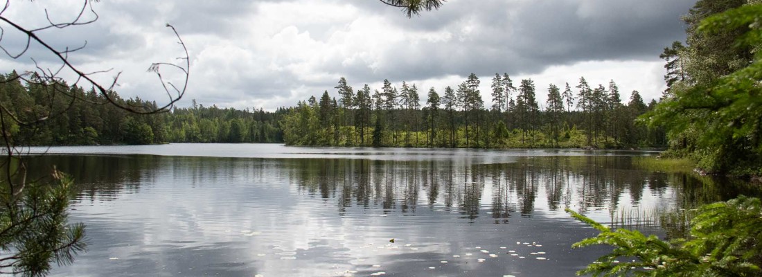 Åsenhöga 3