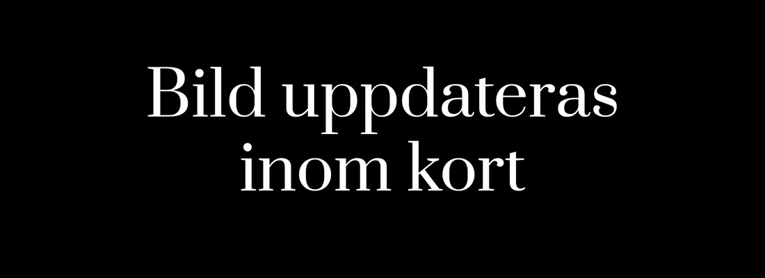 Namnlöst 1