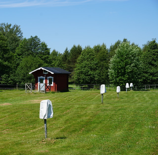 DSC01228