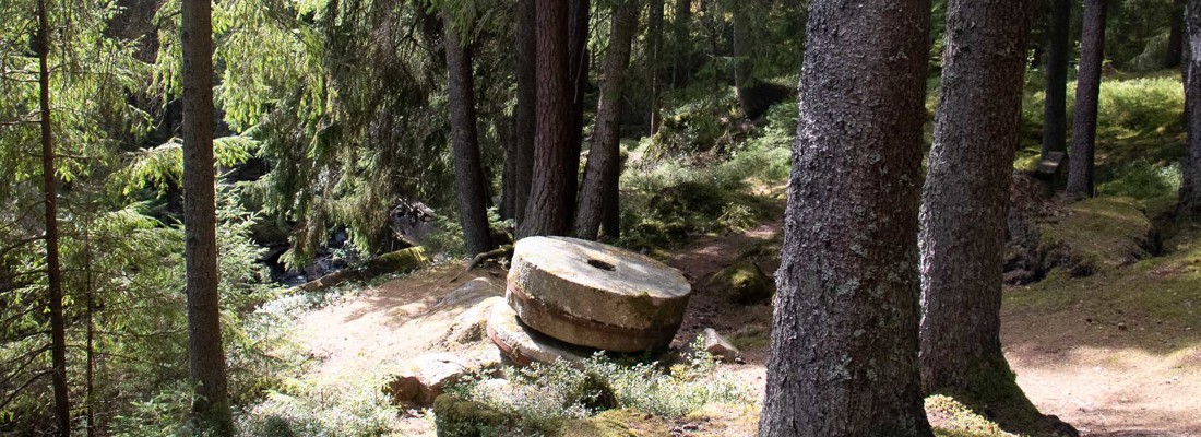 Åsenhöga 9