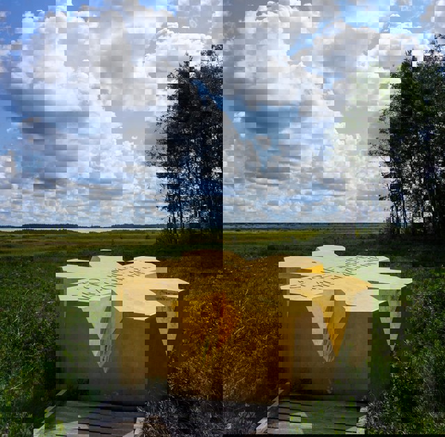 DSC01782